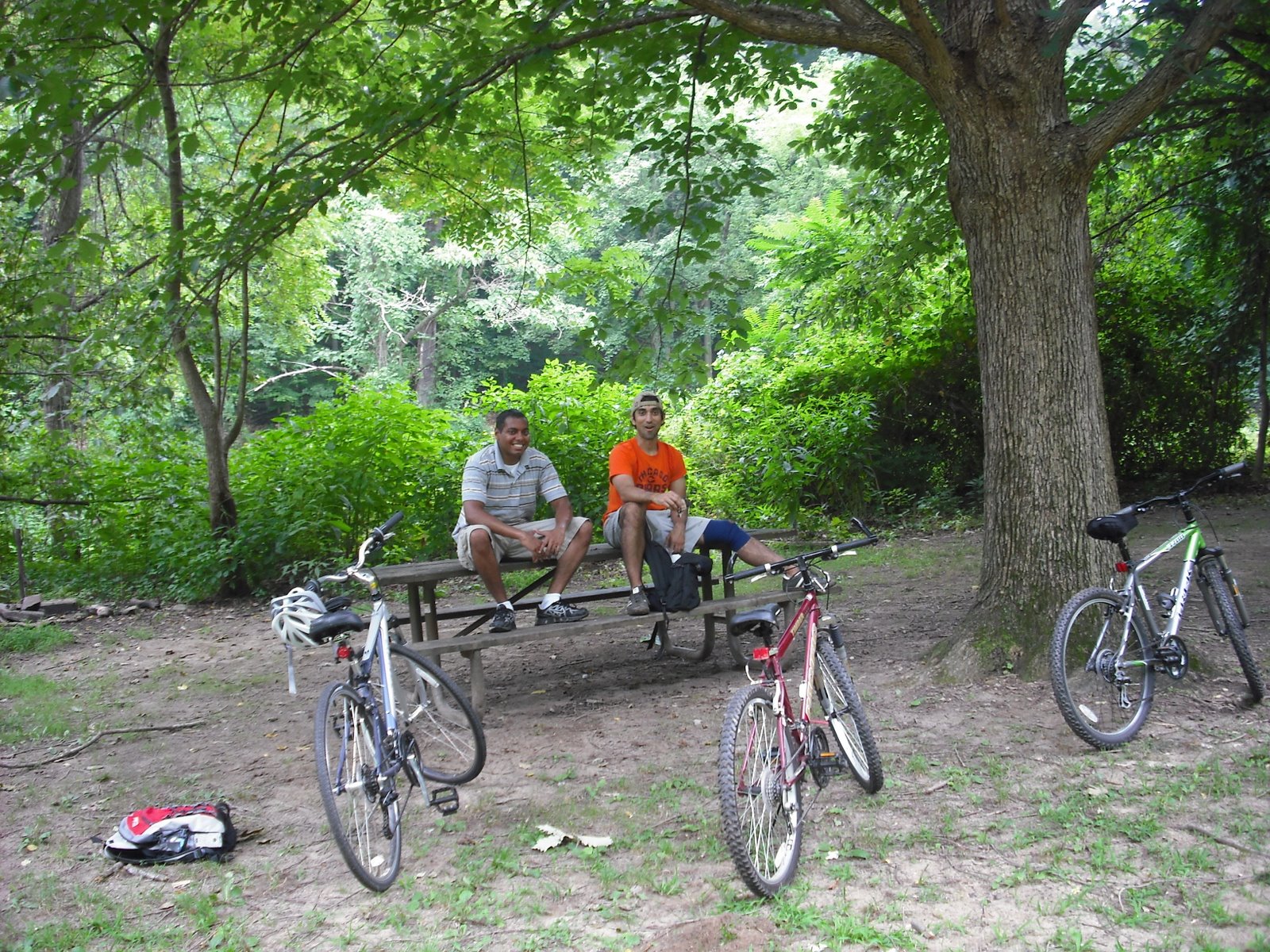 A bike ride to the zoo.