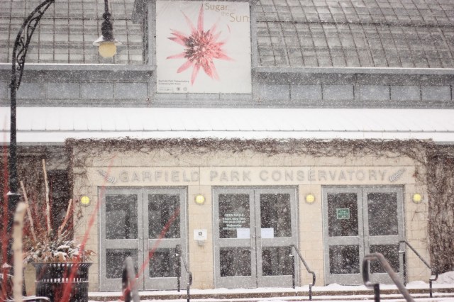 Garfield Park Conservatory