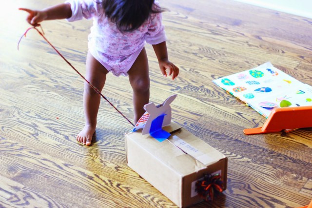 Asha and the cardboard cat