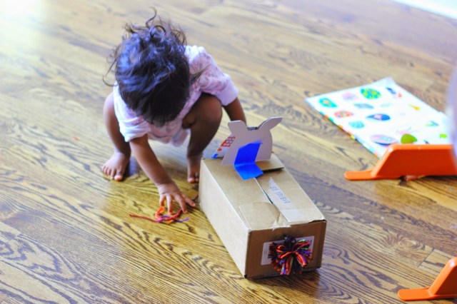 Asha and the cardboard cat