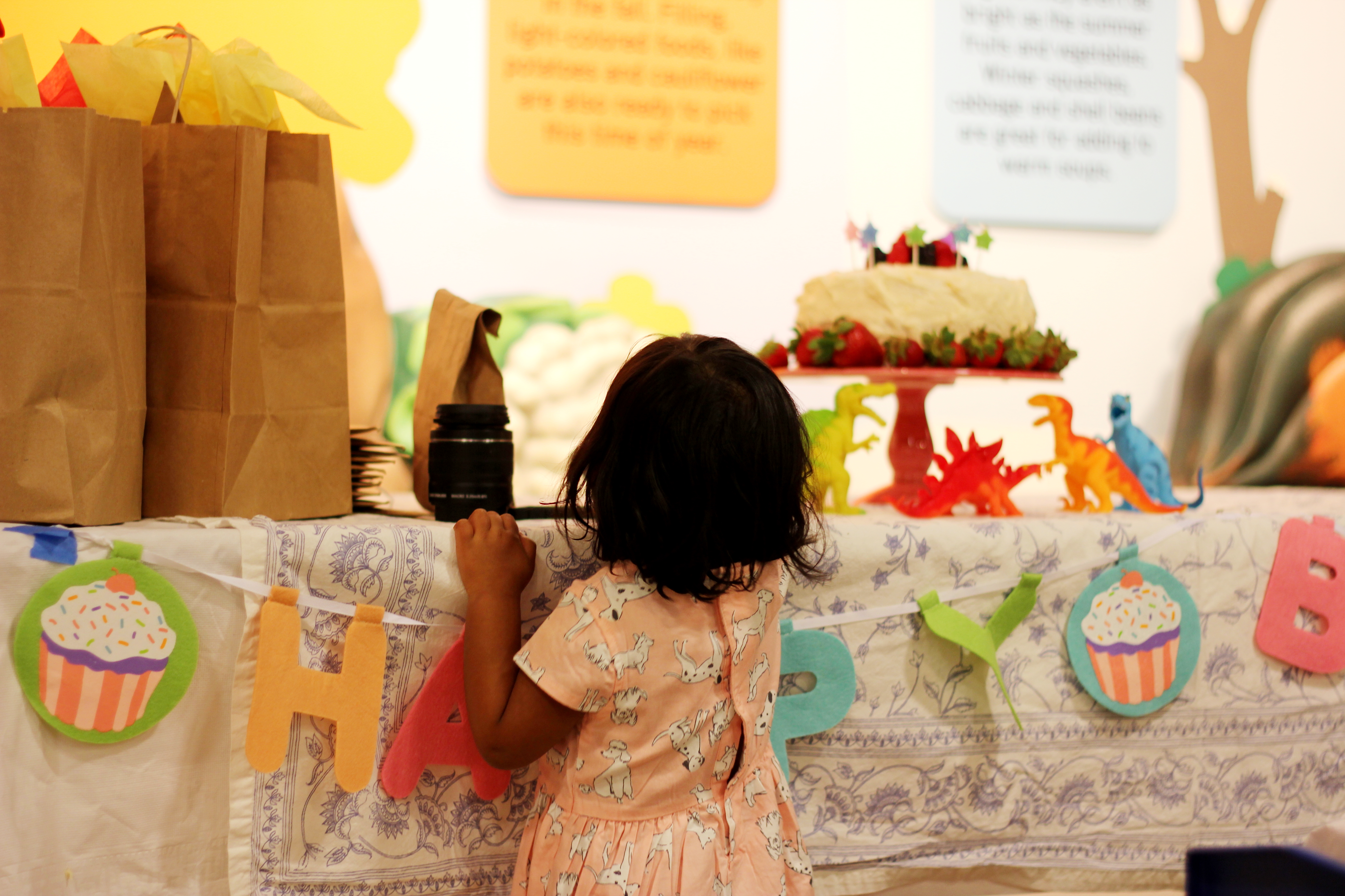 Asha on her 2nd birthday