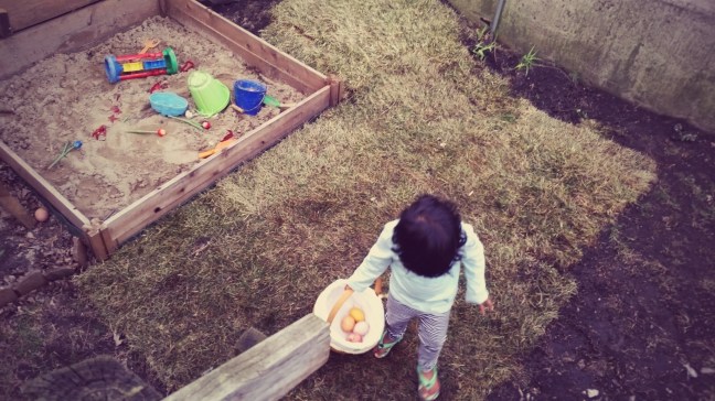 Asha's backyard Easter Egg hunt  at Quinlan's