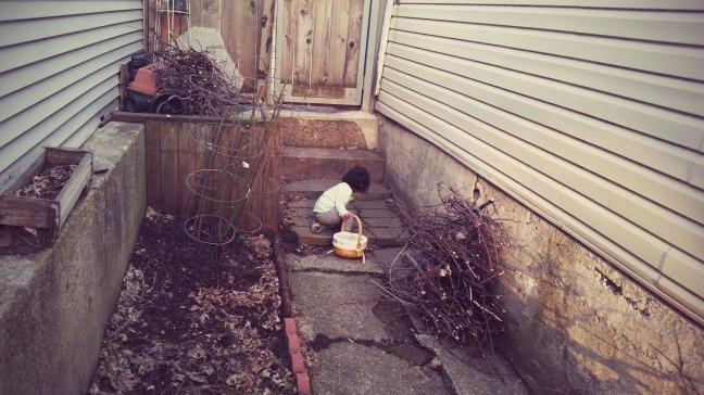 Asha's backyard Easter Egg hunt  at Quinlan's