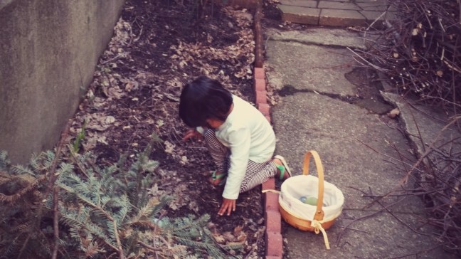 Asha's backyard Easter Egg hunt  at Quinlan's