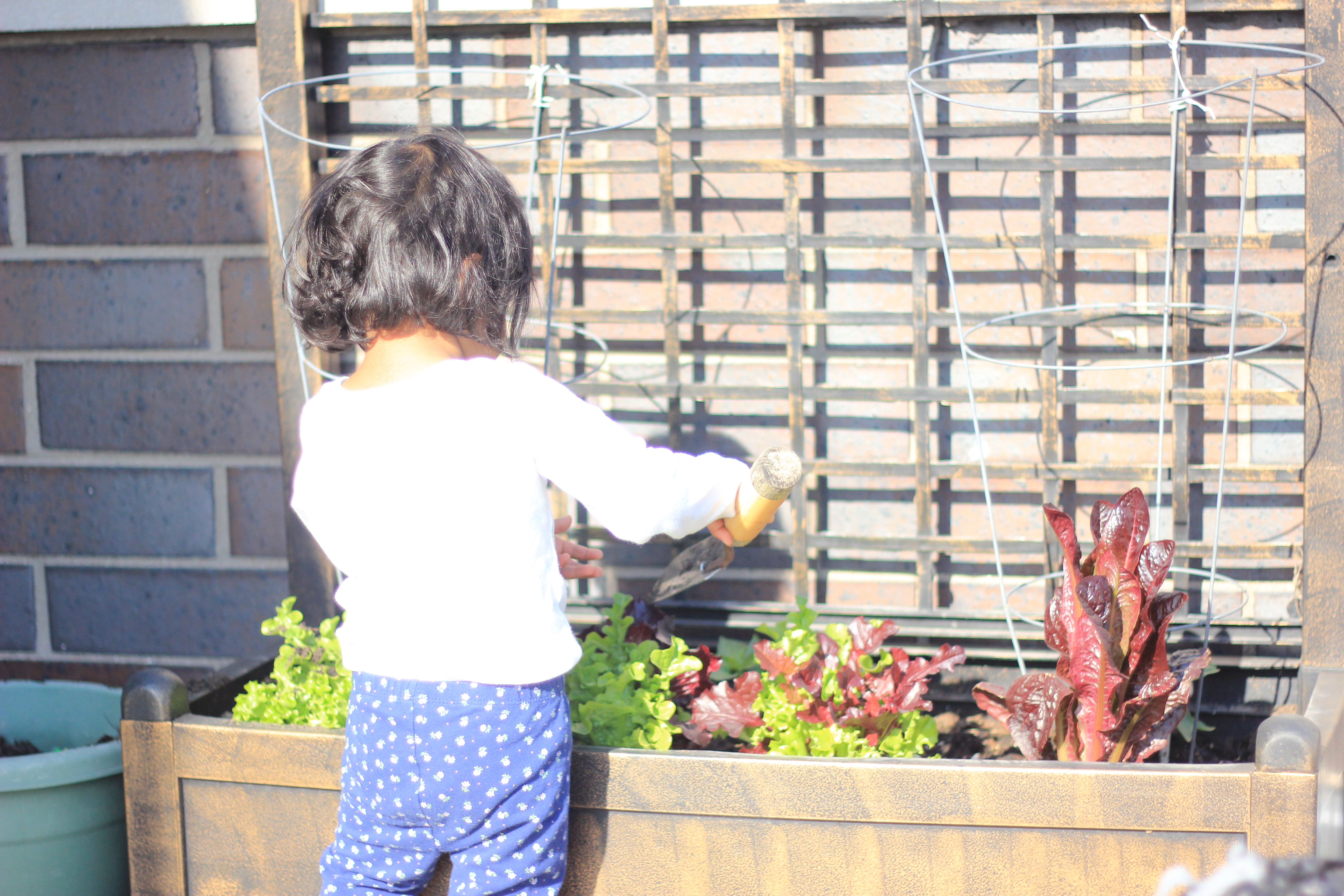 Asha Gardening and playing with dirt