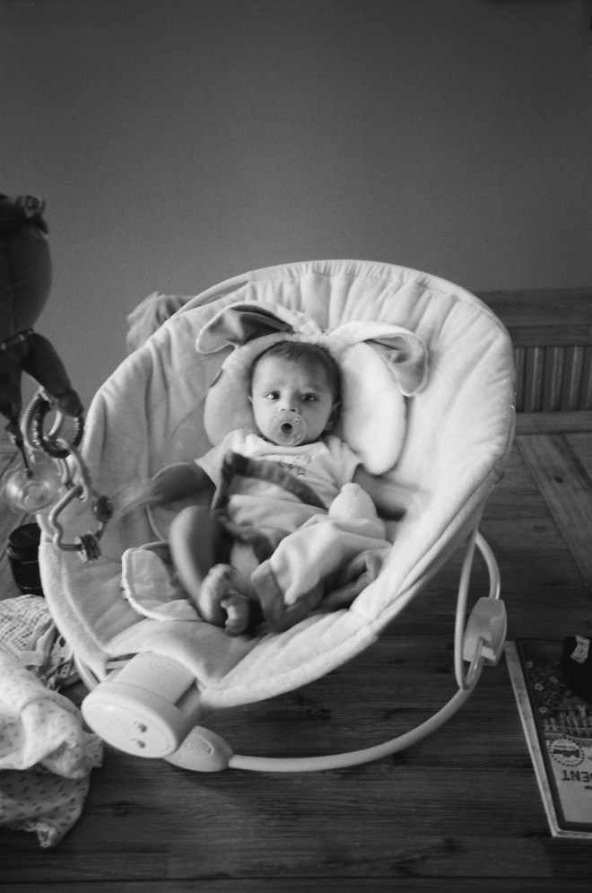 Family Portraits in Chicago by Dottie Brackett