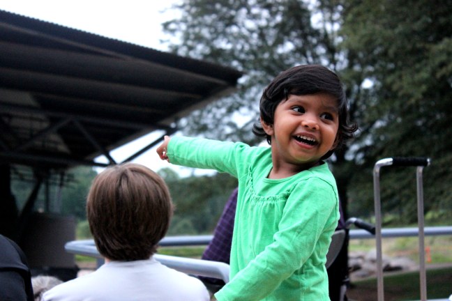 north carolina museum of arts PaperHand Puppet Intervention