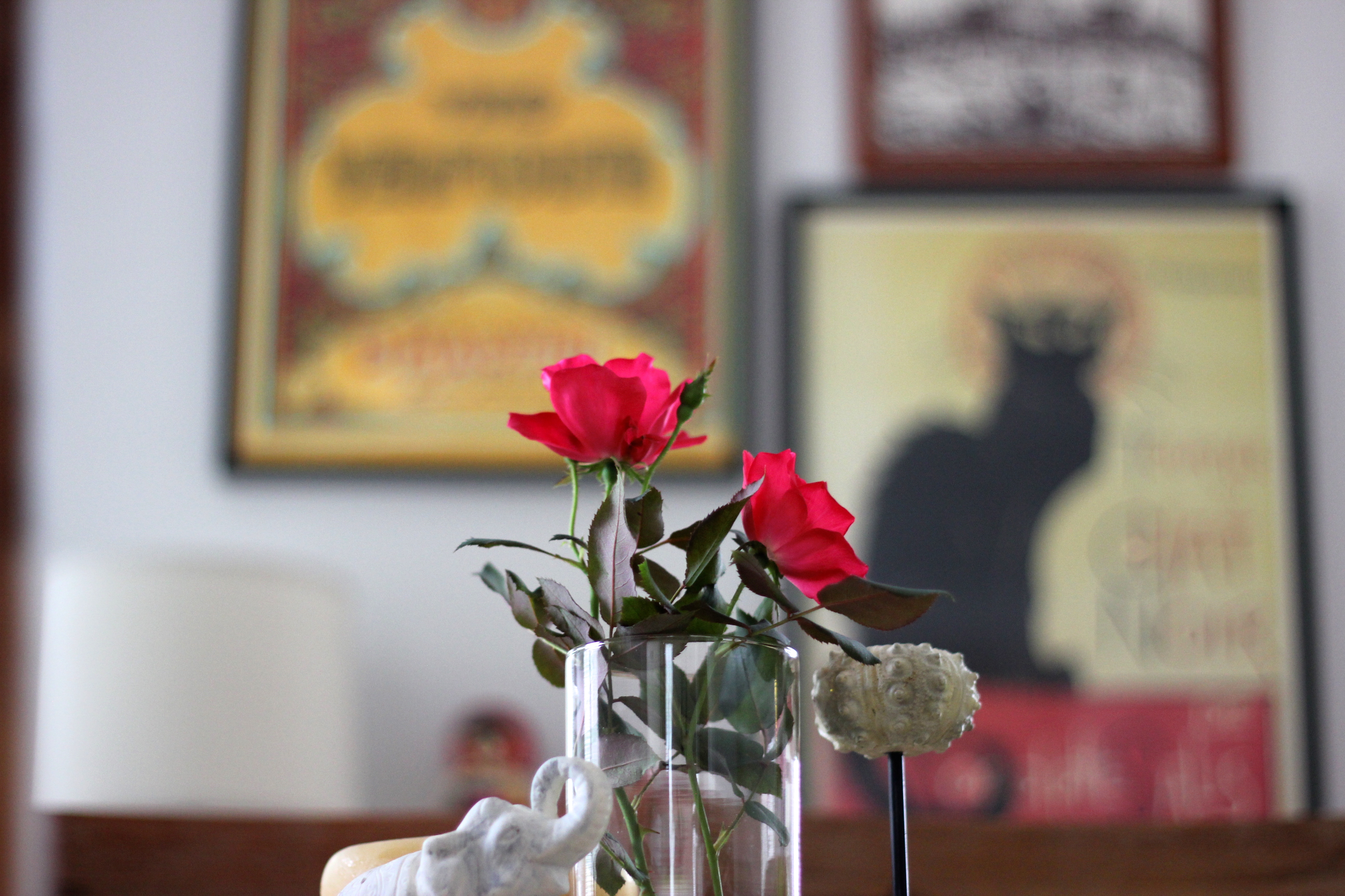 Roses in Dining Room