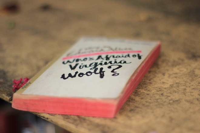 the little library in Historic Oakwood, Raleigh