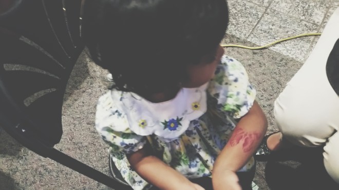 BugFest 2015 at Museum of Natural History, Raleigh