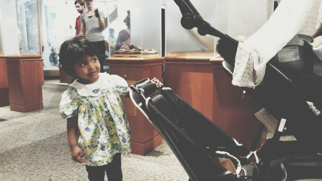 BugFest 2015 at Museum of Natural History, Raleigh