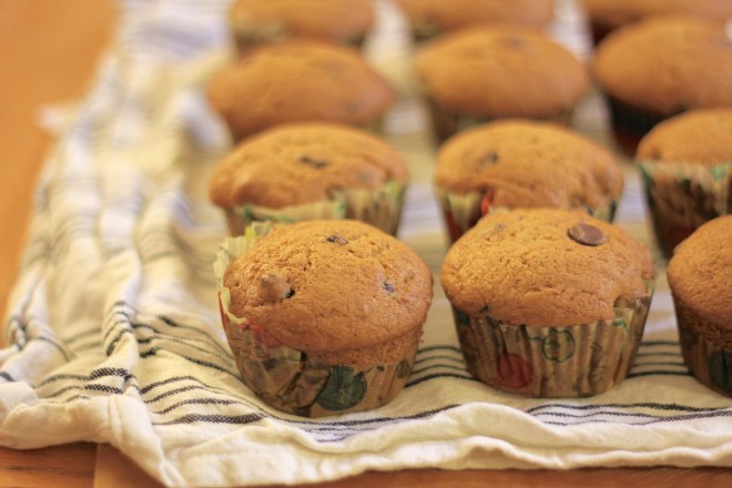 Chocolate Chip and Pumpkin cupcakes