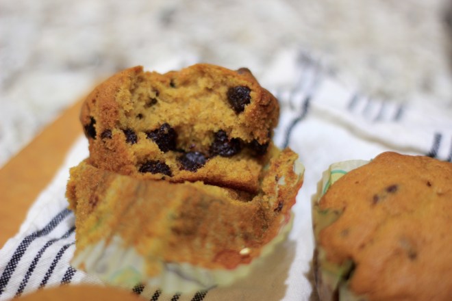Chocolate Chip and Pumpkin cupcakes