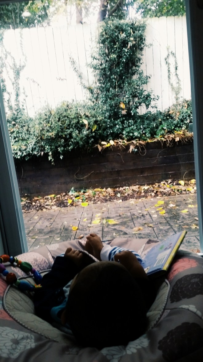 Fall in Historic Oakwood, Raleigh 2015