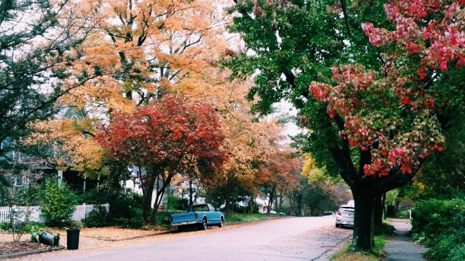 Fall in Historic Oakwood, Raleigh 2015