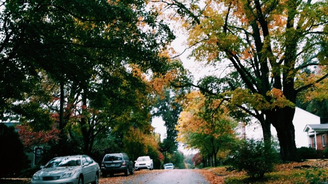 Fall in Historic Oakwood, Raleigh 2015
