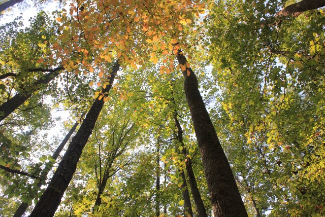 A visit to the Durham Life and Sciences Museum