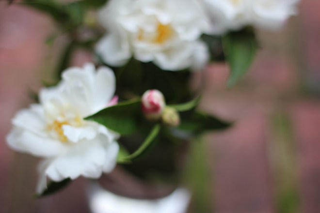 Fall Garden Flower Arrangement