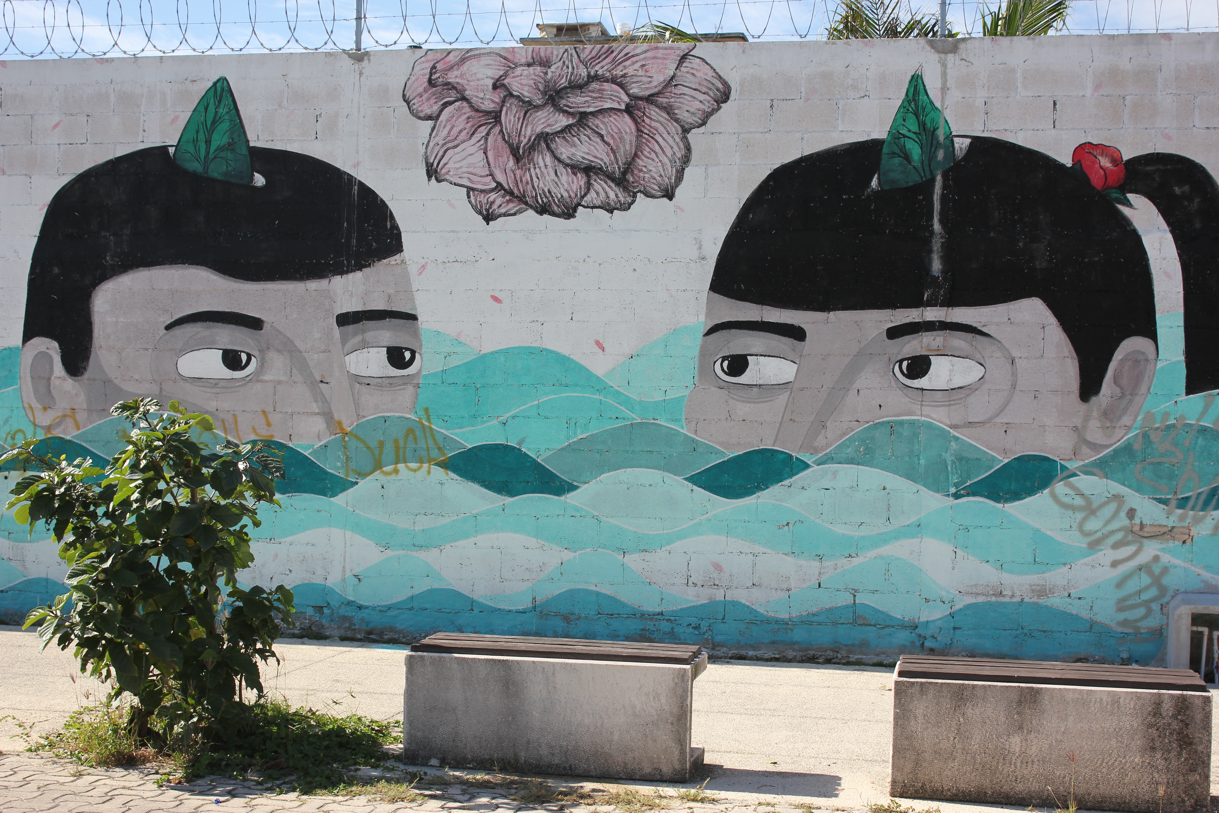 Wall graffiti on 5th Avenue, Playa del Carmen Mexico