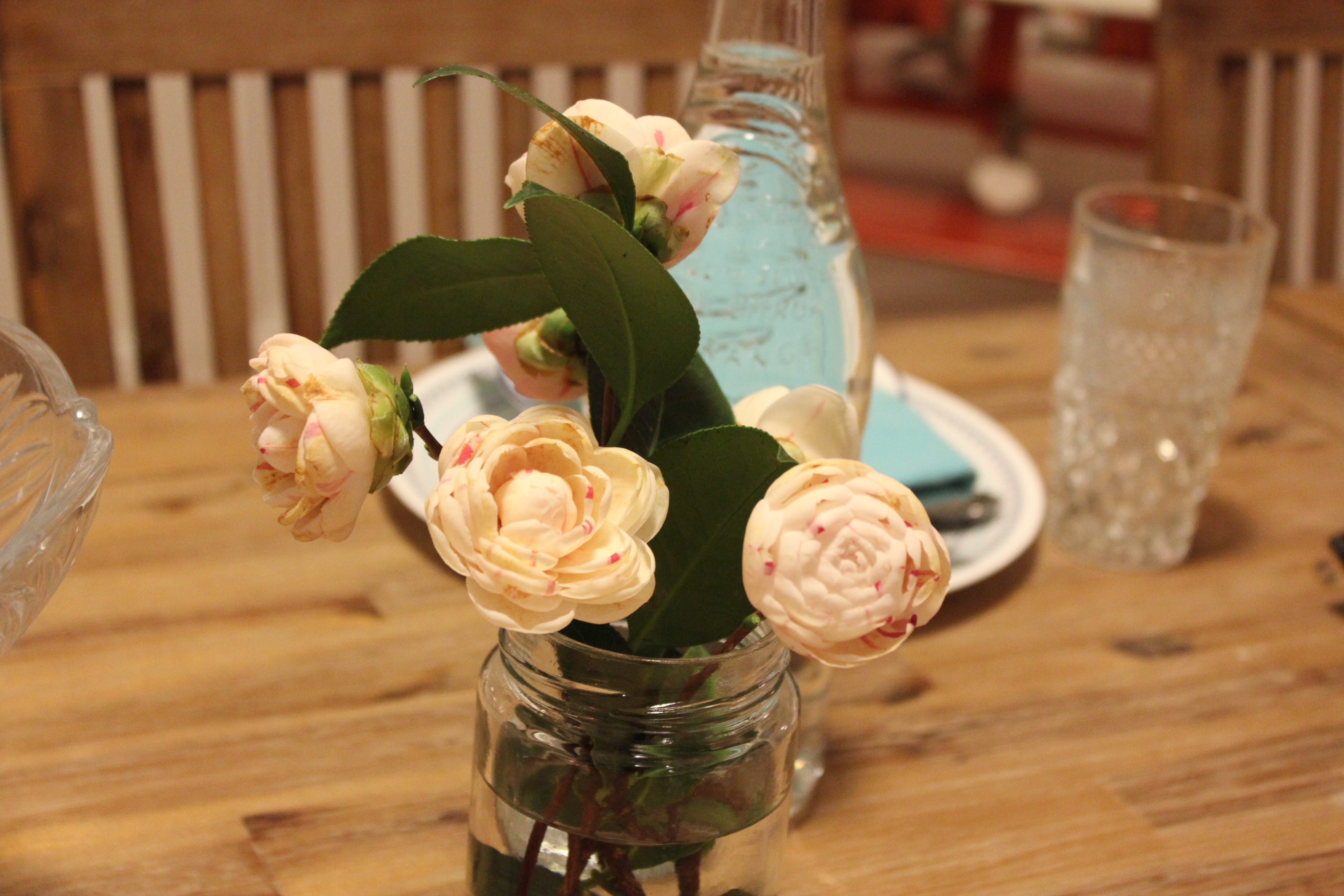 A Weekday Dinner with Friends.