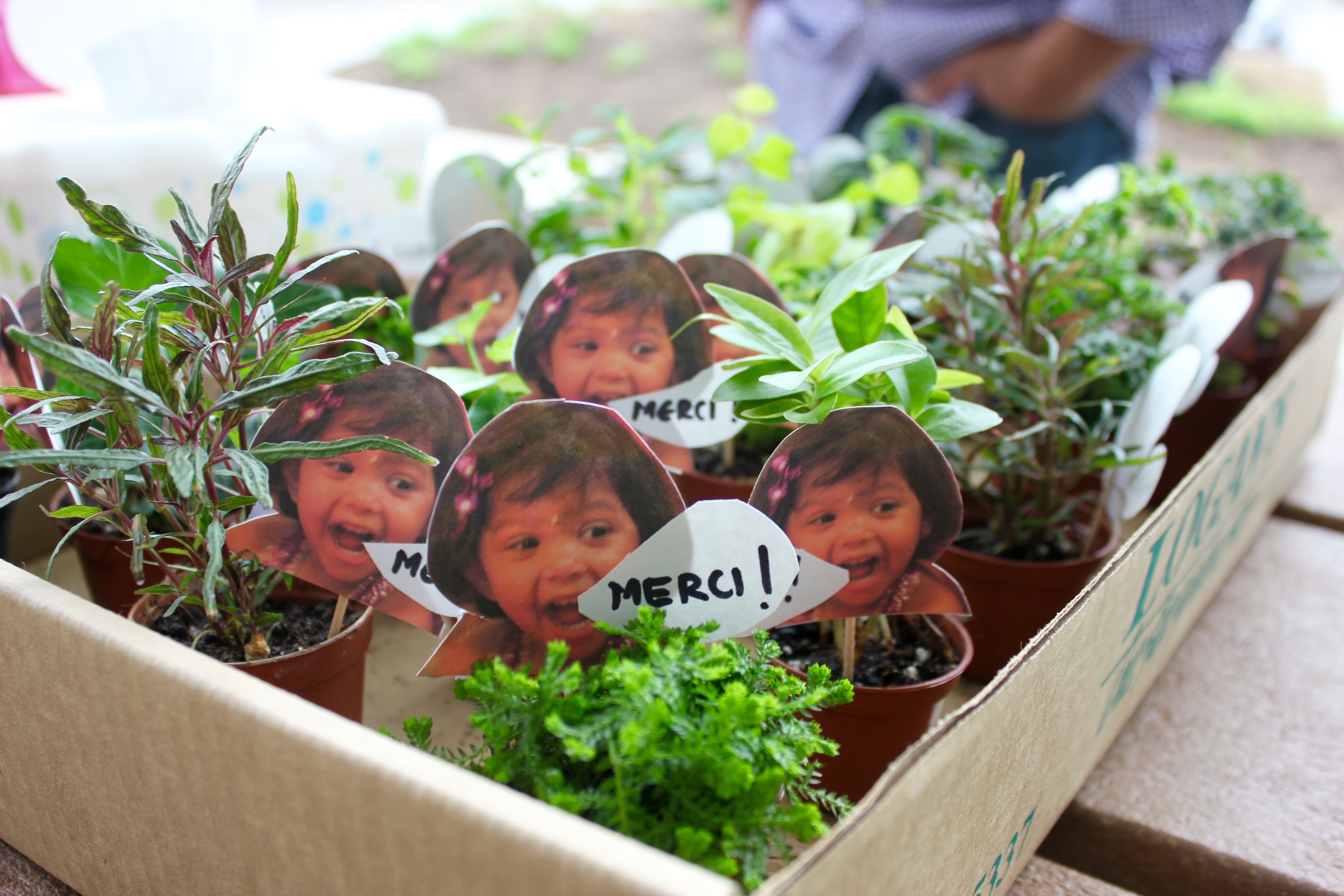 Life Lately (Birthday recap)…