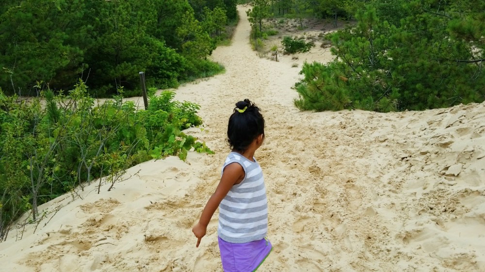 Nags Head Beach, Outer Banks NC