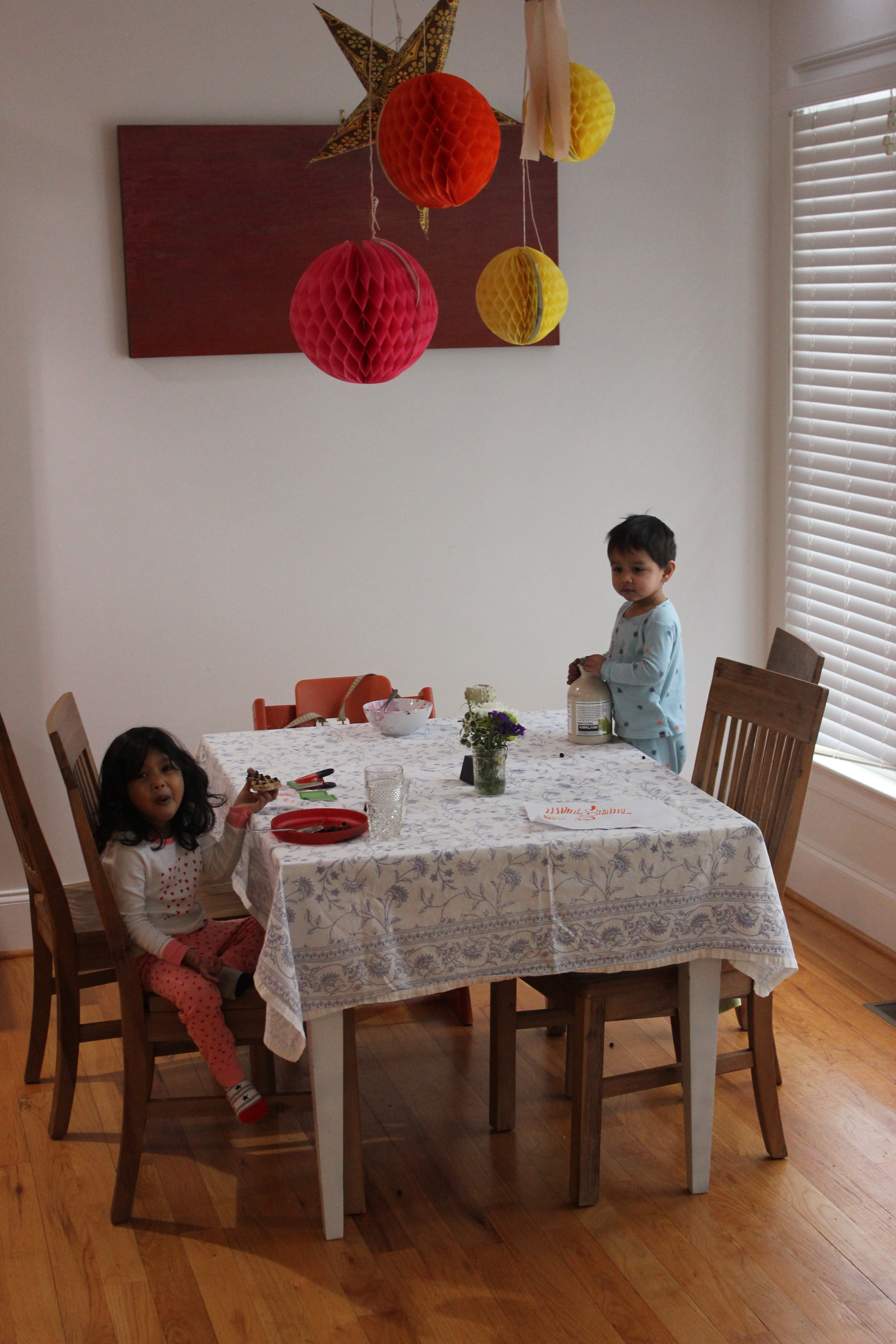 Snow Day in Raleigh 2017