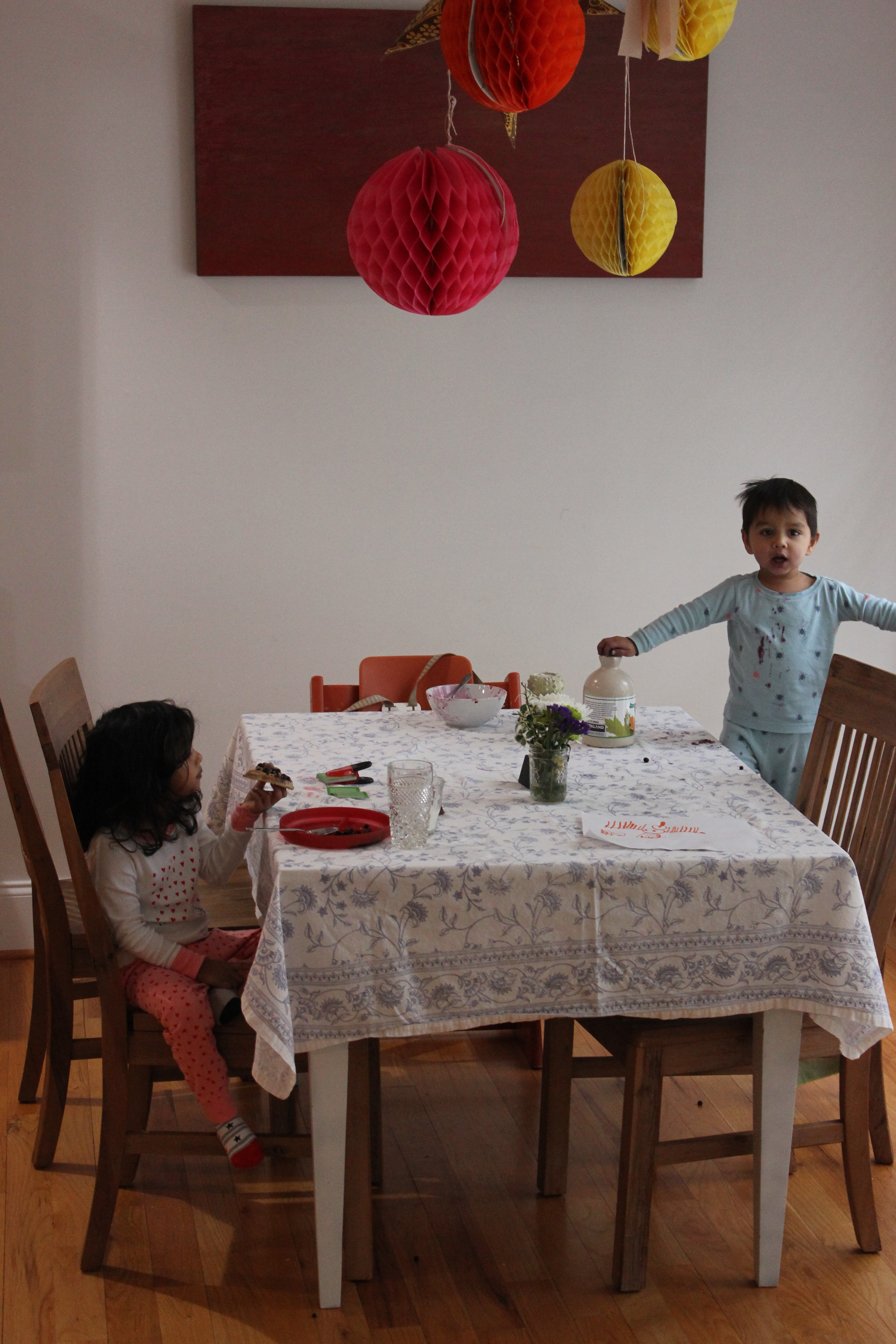 Snow Day in Raleigh 2017