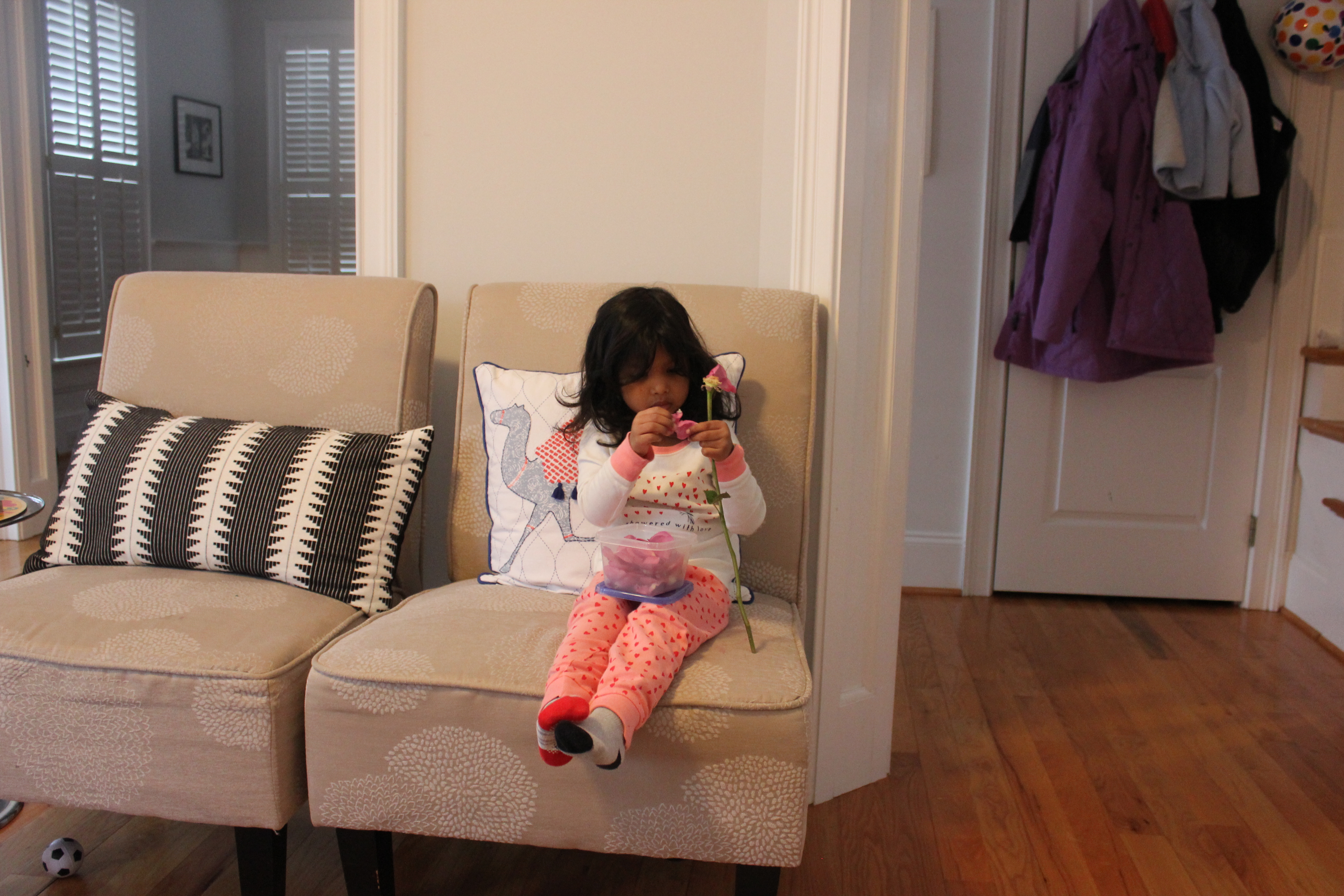 Snow Day in Raleigh 2017