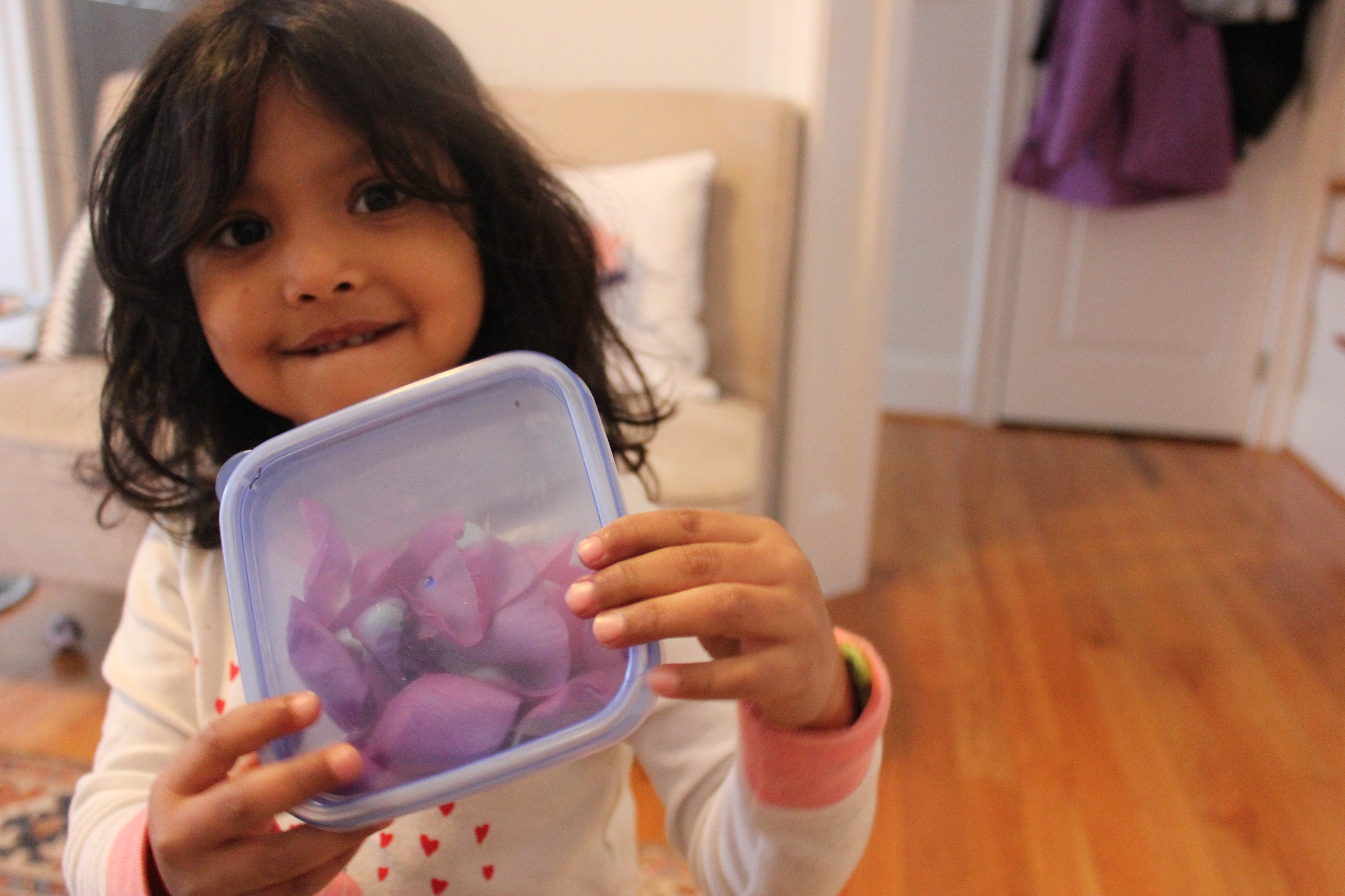 Snow Day in Raleigh 2017