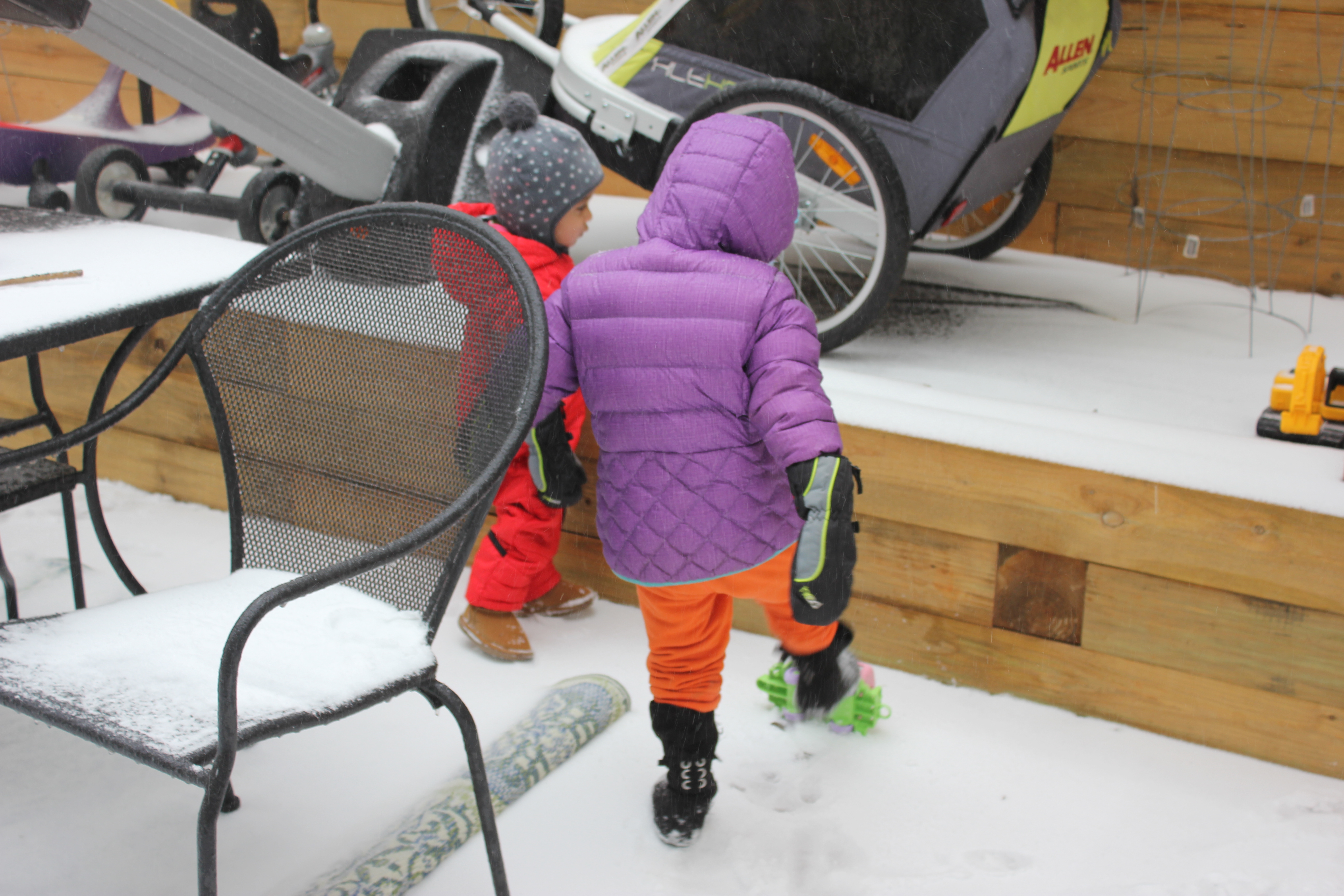 Snow Day in Raleigh 2017
