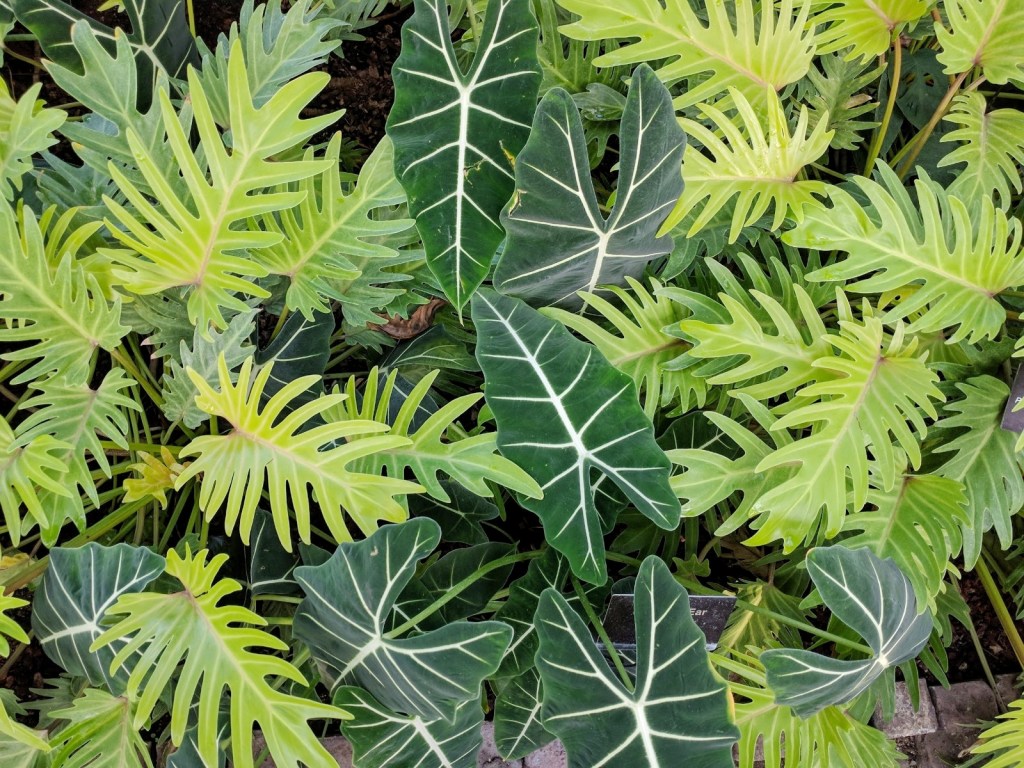 Evolution of my Thanksgiving&nbsp;Holiday