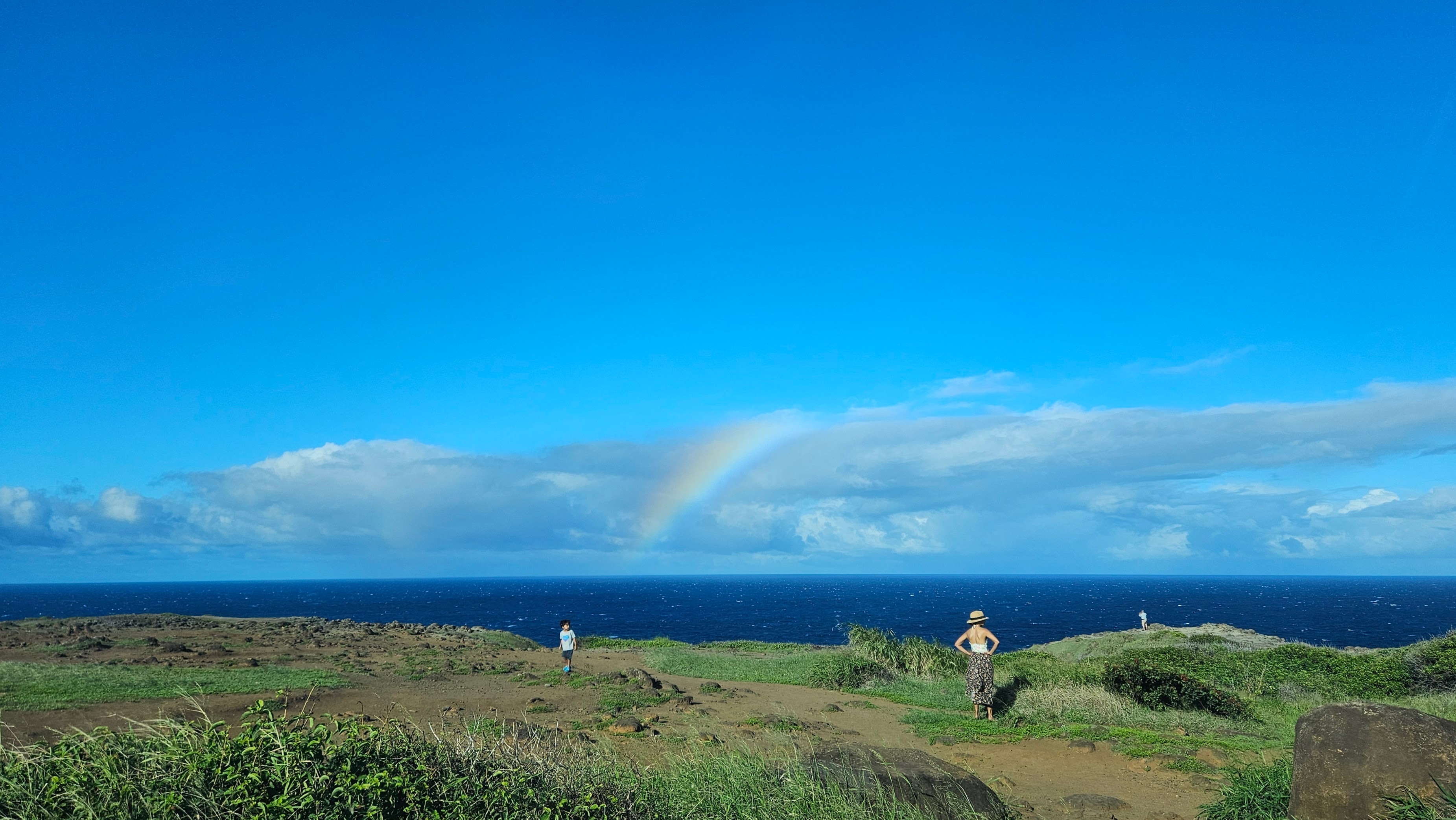 A Haiku { Tiny Creatures }