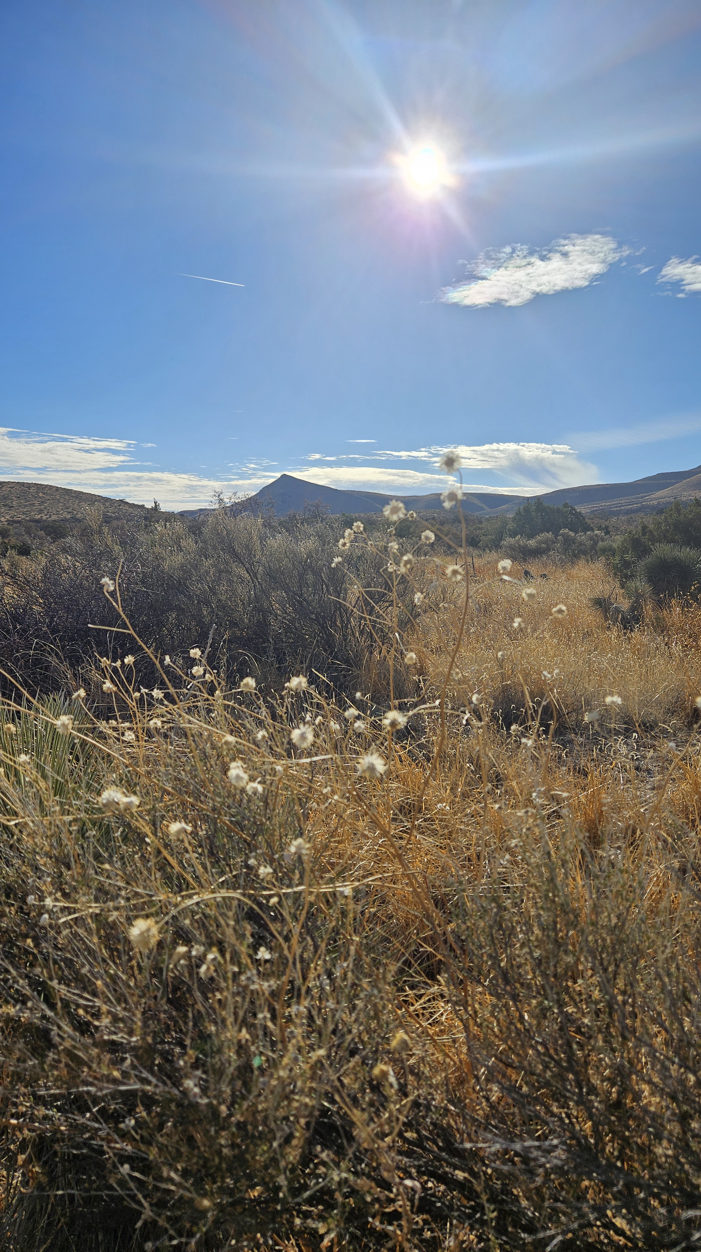 America the Beautiful